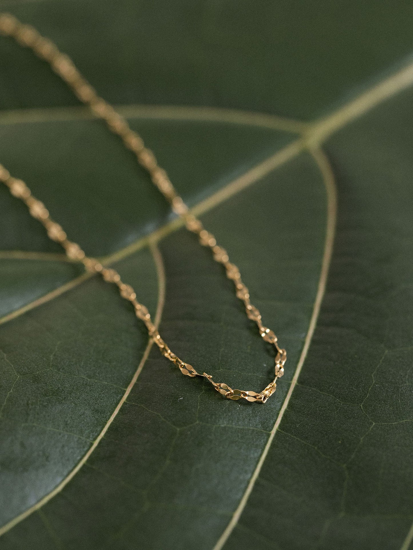 Petal Kette