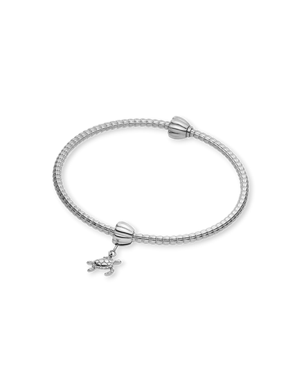 LEI Schildkröten Charm