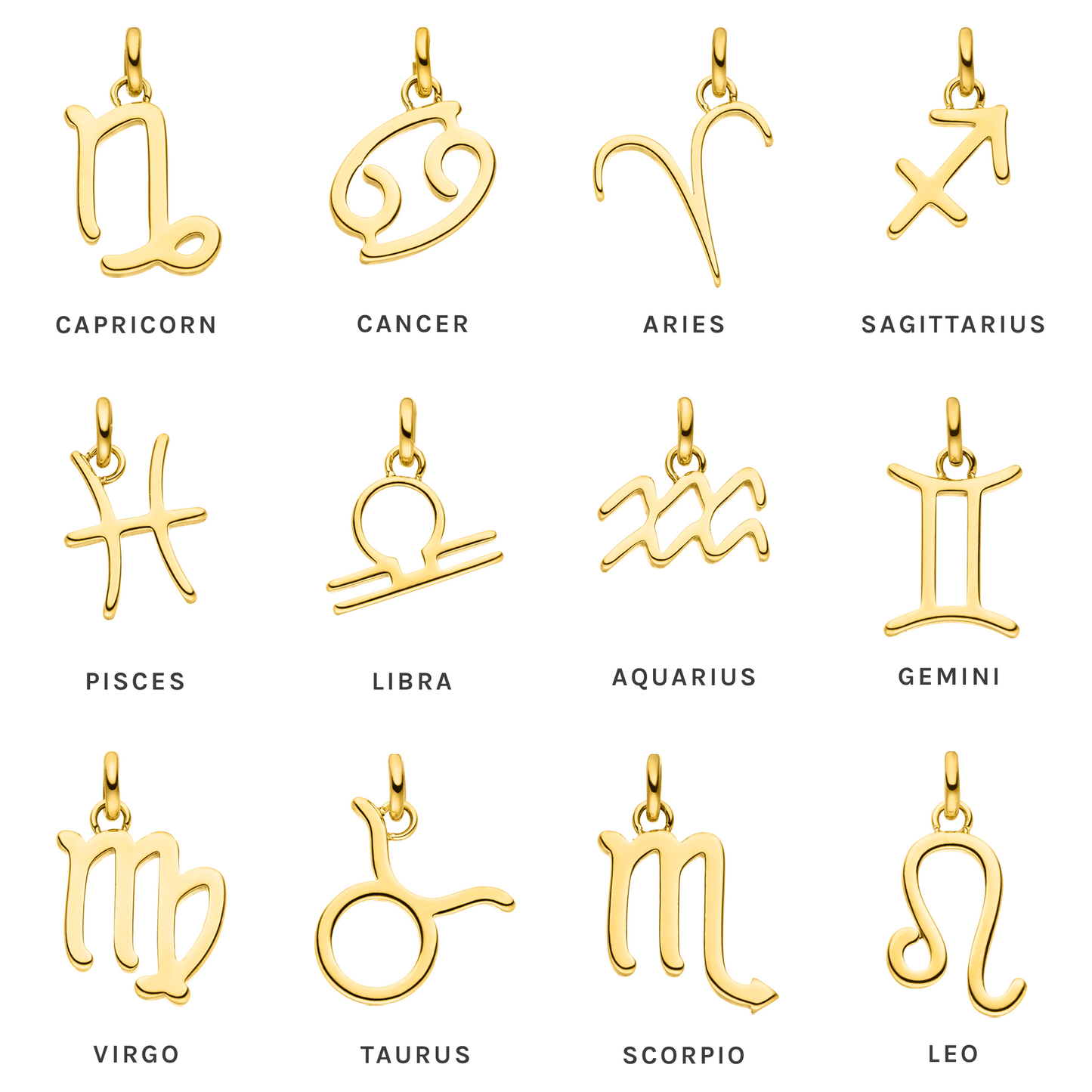 Wassermann Zodiac Charm