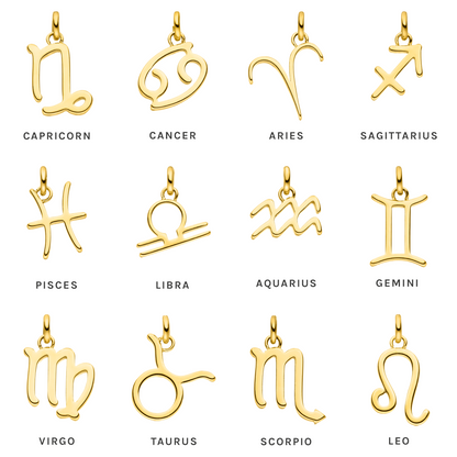 Wassermann Zodiac Charm